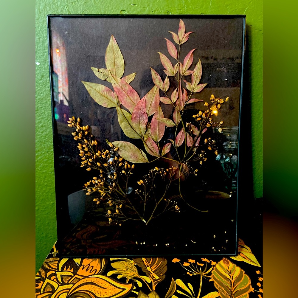Pressed leaves in frame